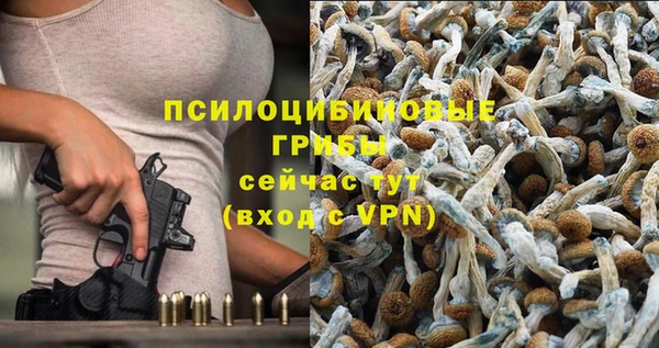 герыч Покровск